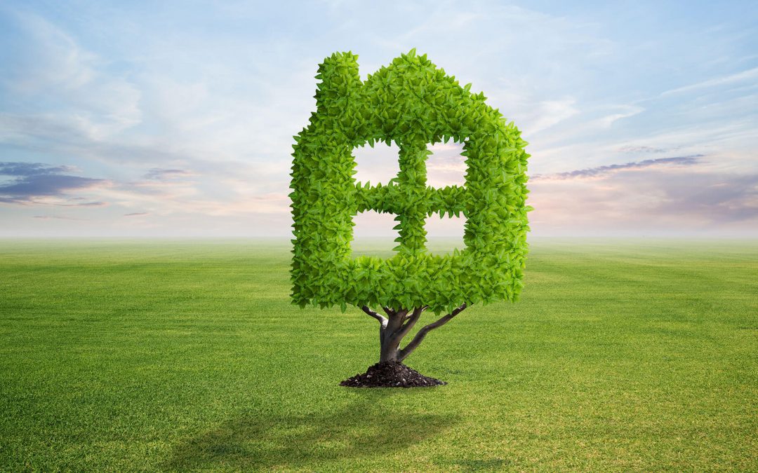 Green retrofit, ovvero, ristrutturare casa in modo ecologico!